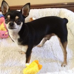 Meet your Posher, Ilana